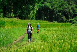 BIB: 
                            <button type="button" onclick="openModal(25014119)" class="btn btn-primary btn-sm float-right btn-popup" data-toggle="modal" data-target=".modal-high-quality">
                        <i class="fas fa-shopping-cart"></i> Add to Cart
                    </button>
                                            <button type="button" onclick="isThisMe(25014119, true)" class="btn btn-success btn-sm float-right btn-popup btn-isme hidden" data-toggle="tooltip" data-placement="bottom" title="นี่คือรูปของคุณใช่ไหม คลิกที่นี่เพื่อเอาเข้าอัลบั้ม">
                        <i class="fas fa-plus"></i> Add to album
                    </button>
                    <button type="button" onclick="isThisMe(25014119, false)" class="btn btn-warning btn-sm float-right btn-popup btn-isnotme hidden">
                        <i class="fas fa-ban"></i> Remove from album
                    </button>