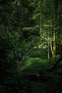 BIB: 
                            <button type="button" onclick="openModal(25015421)" class="btn btn-primary btn-sm float-right btn-popup" data-toggle="modal" data-target=".modal-high-quality">
                        <i class="fas fa-shopping-cart"></i> Add to Cart
                    </button>
                                            <button type="button" onclick="isThisMe(25015421, true)" class="btn btn-success btn-sm float-right btn-popup btn-isme hidden" data-toggle="tooltip" data-placement="bottom" title="นี่คือรูปของคุณใช่ไหม คลิกที่นี่เพื่อเอาเข้าอัลบั้ม">
                        <i class="fas fa-plus"></i> Add to album
                    </button>
                    <button type="button" onclick="isThisMe(25015421, false)" class="btn btn-warning btn-sm float-right btn-popup btn-isnotme hidden">
                        <i class="fas fa-ban"></i> Remove from album
                    </button>