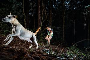 BIB: 
                            <button type="button" onclick="openModal(25011516)" class="btn btn-primary btn-sm float-right btn-popup" data-toggle="modal" data-target=".modal-high-quality">
                        <i class="fas fa-shopping-cart"></i> Add to Cart
                    </button>
                                            <button type="button" onclick="isThisMe(25011516, true)" class="btn btn-success btn-sm float-right btn-popup btn-isme hidden" data-toggle="tooltip" data-placement="bottom" title="นี่คือรูปของคุณใช่ไหม คลิกที่นี่เพื่อเอาเข้าอัลบั้ม">
                        <i class="fas fa-plus"></i> Add to album
                    </button>
                    <button type="button" onclick="isThisMe(25011516, false)" class="btn btn-warning btn-sm float-right btn-popup btn-isnotme hidden">
                        <i class="fas fa-ban"></i> Remove from album
                    </button>