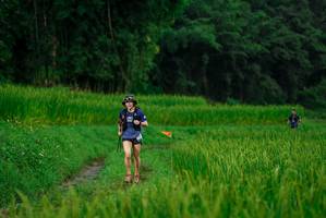 BIB: 
                            <button type="button" onclick="openModal(25013892)" class="btn btn-primary btn-sm float-right btn-popup" data-toggle="modal" data-target=".modal-high-quality">
                        <i class="fas fa-shopping-cart"></i> Add to Cart
                    </button>
                                            <button type="button" onclick="isThisMe(25013892, true)" class="btn btn-success btn-sm float-right btn-popup btn-isme hidden" data-toggle="tooltip" data-placement="bottom" title="นี่คือรูปของคุณใช่ไหม คลิกที่นี่เพื่อเอาเข้าอัลบั้ม">
                        <i class="fas fa-plus"></i> Add to album
                    </button>
                    <button type="button" onclick="isThisMe(25013892, false)" class="btn btn-warning btn-sm float-right btn-popup btn-isnotme hidden">
                        <i class="fas fa-ban"></i> Remove from album
                    </button>