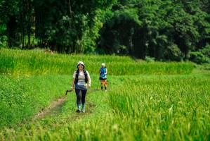 BIB: 
                            <button type="button" onclick="openModal(25014115)" class="btn btn-primary btn-sm float-right btn-popup" data-toggle="modal" data-target=".modal-high-quality">
                        <i class="fas fa-shopping-cart"></i> Add to Cart
                    </button>
                                            <button type="button" onclick="isThisMe(25014115, true)" class="btn btn-success btn-sm float-right btn-popup btn-isme hidden" data-toggle="tooltip" data-placement="bottom" title="นี่คือรูปของคุณใช่ไหม คลิกที่นี่เพื่อเอาเข้าอัลบั้ม">
                        <i class="fas fa-plus"></i> Add to album
                    </button>
                    <button type="button" onclick="isThisMe(25014115, false)" class="btn btn-warning btn-sm float-right btn-popup btn-isnotme hidden">
                        <i class="fas fa-ban"></i> Remove from album
                    </button>