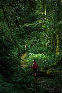 BIB: 
                            <button type="button" onclick="openModal(25015276)" class="btn btn-primary btn-sm float-right btn-popup" data-toggle="modal" data-target=".modal-high-quality">
                        <i class="fas fa-shopping-cart"></i> Add to Cart
                    </button>
                                            <button type="button" onclick="isThisMe(25015276, true)" class="btn btn-success btn-sm float-right btn-popup btn-isme hidden" data-toggle="tooltip" data-placement="bottom" title="นี่คือรูปของคุณใช่ไหม คลิกที่นี่เพื่อเอาเข้าอัลบั้ม">
                        <i class="fas fa-plus"></i> Add to album
                    </button>
                    <button type="button" onclick="isThisMe(25015276, false)" class="btn btn-warning btn-sm float-right btn-popup btn-isnotme hidden">
                        <i class="fas fa-ban"></i> Remove from album
                    </button>