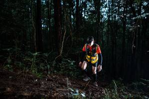 BIB: 
                            <button type="button" onclick="openModal(25012858)" class="btn btn-primary btn-sm float-right btn-popup" data-toggle="modal" data-target=".modal-high-quality">
                        <i class="fas fa-shopping-cart"></i> Add to Cart
                    </button>
                                            <button type="button" onclick="isThisMe(25012858, true)" class="btn btn-success btn-sm float-right btn-popup btn-isme hidden" data-toggle="tooltip" data-placement="bottom" title="นี่คือรูปของคุณใช่ไหม คลิกที่นี่เพื่อเอาเข้าอัลบั้ม">
                        <i class="fas fa-plus"></i> Add to album
                    </button>
                    <button type="button" onclick="isThisMe(25012858, false)" class="btn btn-warning btn-sm float-right btn-popup btn-isnotme hidden">
                        <i class="fas fa-ban"></i> Remove from album
                    </button>