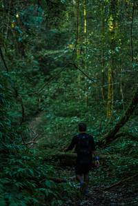 BIB: 
                            <button type="button" onclick="openModal(25015821)" class="btn btn-primary btn-sm float-right btn-popup" data-toggle="modal" data-target=".modal-high-quality">
                        <i class="fas fa-shopping-cart"></i> Add to Cart
                    </button>
                                            <button type="button" onclick="isThisMe(25015821, true)" class="btn btn-success btn-sm float-right btn-popup btn-isme hidden" data-toggle="tooltip" data-placement="bottom" title="นี่คือรูปของคุณใช่ไหม คลิกที่นี่เพื่อเอาเข้าอัลบั้ม">
                        <i class="fas fa-plus"></i> Add to album
                    </button>
                    <button type="button" onclick="isThisMe(25015821, false)" class="btn btn-warning btn-sm float-right btn-popup btn-isnotme hidden">
                        <i class="fas fa-ban"></i> Remove from album
                    </button>