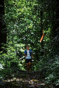 BIB: 
                            <button type="button" onclick="openModal(25014671)" class="btn btn-primary btn-sm float-right btn-popup" data-toggle="modal" data-target=".modal-high-quality">
                        <i class="fas fa-shopping-cart"></i> Add to Cart
                    </button>
                                            <button type="button" onclick="isThisMe(25014671, true)" class="btn btn-success btn-sm float-right btn-popup btn-isme hidden" data-toggle="tooltip" data-placement="bottom" title="นี่คือรูปของคุณใช่ไหม คลิกที่นี่เพื่อเอาเข้าอัลบั้ม">
                        <i class="fas fa-plus"></i> Add to album
                    </button>
                    <button type="button" onclick="isThisMe(25014671, false)" class="btn btn-warning btn-sm float-right btn-popup btn-isnotme hidden">
                        <i class="fas fa-ban"></i> Remove from album
                    </button>