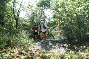 BIB: 
                            <button type="button" onclick="openModal(25039951)" class="btn btn-primary btn-sm float-right btn-popup" data-toggle="modal" data-target=".modal-high-quality">
                        <i class="fas fa-shopping-cart"></i> Add to Cart
                    </button>
                                            <button type="button" onclick="isThisMe(25039951, true)" class="btn btn-success btn-sm float-right btn-popup btn-isme hidden" data-toggle="tooltip" data-placement="bottom" title="นี่คือรูปของคุณใช่ไหม คลิกที่นี่เพื่อเอาเข้าอัลบั้ม">
                        <i class="fas fa-plus"></i> Add to album
                    </button>
                    <button type="button" onclick="isThisMe(25039951, false)" class="btn btn-warning btn-sm float-right btn-popup btn-isnotme hidden">
                        <i class="fas fa-ban"></i> Remove from album
                    </button>