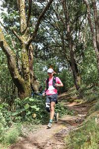 BIB: 
                            <button type="button" onclick="openModal(25031890)" class="btn btn-primary btn-sm float-right btn-popup" data-toggle="modal" data-target=".modal-high-quality">
                        <i class="fas fa-shopping-cart"></i> Add to Cart
                    </button>
                                            <button type="button" onclick="isThisMe(25031890, true)" class="btn btn-success btn-sm float-right btn-popup btn-isme hidden" data-toggle="tooltip" data-placement="bottom" title="นี่คือรูปของคุณใช่ไหม คลิกที่นี่เพื่อเอาเข้าอัลบั้ม">
                        <i class="fas fa-plus"></i> Add to album
                    </button>
                    <button type="button" onclick="isThisMe(25031890, false)" class="btn btn-warning btn-sm float-right btn-popup btn-isnotme hidden">
                        <i class="fas fa-ban"></i> Remove from album
                    </button>