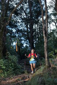 BIB: 
                            <button type="button" onclick="openModal(25036919)" class="btn btn-primary btn-sm float-right btn-popup" data-toggle="modal" data-target=".modal-high-quality">
                        <i class="fas fa-shopping-cart"></i> Add to Cart
                    </button>
                                            <button type="button" onclick="isThisMe(25036919, true)" class="btn btn-success btn-sm float-right btn-popup btn-isme hidden" data-toggle="tooltip" data-placement="bottom" title="นี่คือรูปของคุณใช่ไหม คลิกที่นี่เพื่อเอาเข้าอัลบั้ม">
                        <i class="fas fa-plus"></i> Add to album
                    </button>
                    <button type="button" onclick="isThisMe(25036919, false)" class="btn btn-warning btn-sm float-right btn-popup btn-isnotme hidden">
                        <i class="fas fa-ban"></i> Remove from album
                    </button>