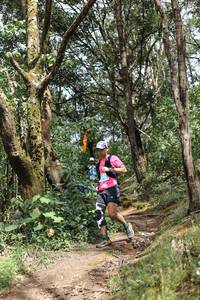 BIB: 
                            <button type="button" onclick="openModal(25031888)" class="btn btn-primary btn-sm float-right btn-popup" data-toggle="modal" data-target=".modal-high-quality">
                        <i class="fas fa-shopping-cart"></i> Add to Cart
                    </button>
                                            <button type="button" onclick="isThisMe(25031888, true)" class="btn btn-success btn-sm float-right btn-popup btn-isme hidden" data-toggle="tooltip" data-placement="bottom" title="นี่คือรูปของคุณใช่ไหม คลิกที่นี่เพื่อเอาเข้าอัลบั้ม">
                        <i class="fas fa-plus"></i> Add to album
                    </button>
                    <button type="button" onclick="isThisMe(25031888, false)" class="btn btn-warning btn-sm float-right btn-popup btn-isnotme hidden">
                        <i class="fas fa-ban"></i> Remove from album
                    </button>