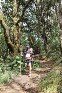 BIB: 
                            <button type="button" onclick="openModal(25031780)" class="btn btn-primary btn-sm float-right btn-popup" data-toggle="modal" data-target=".modal-high-quality">
                        <i class="fas fa-shopping-cart"></i> Add to Cart
                    </button>
                                            <button type="button" onclick="isThisMe(25031780, true)" class="btn btn-success btn-sm float-right btn-popup btn-isme hidden" data-toggle="tooltip" data-placement="bottom" title="นี่คือรูปของคุณใช่ไหม คลิกที่นี่เพื่อเอาเข้าอัลบั้ม">
                        <i class="fas fa-plus"></i> Add to album
                    </button>
                    <button type="button" onclick="isThisMe(25031780, false)" class="btn btn-warning btn-sm float-right btn-popup btn-isnotme hidden">
                        <i class="fas fa-ban"></i> Remove from album
                    </button>