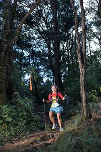 BIB: 
                            <button type="button" onclick="openModal(25036939)" class="btn btn-primary btn-sm float-right btn-popup" data-toggle="modal" data-target=".modal-high-quality">
                        <i class="fas fa-shopping-cart"></i> Add to Cart
                    </button>
                                            <button type="button" onclick="isThisMe(25036939, true)" class="btn btn-success btn-sm float-right btn-popup btn-isme hidden" data-toggle="tooltip" data-placement="bottom" title="นี่คือรูปของคุณใช่ไหม คลิกที่นี่เพื่อเอาเข้าอัลบั้ม">
                        <i class="fas fa-plus"></i> Add to album
                    </button>
                    <button type="button" onclick="isThisMe(25036939, false)" class="btn btn-warning btn-sm float-right btn-popup btn-isnotme hidden">
                        <i class="fas fa-ban"></i> Remove from album
                    </button>