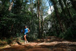 BIB: 
                            <button type="button" onclick="openModal(25003804)" class="btn btn-primary btn-sm float-right btn-popup" data-toggle="modal" data-target=".modal-high-quality">
                        <i class="fas fa-shopping-cart"></i> Add to Cart
                    </button>
                                            <button type="button" onclick="isThisMe(25003804, true)" class="btn btn-success btn-sm float-right btn-popup btn-isme hidden" data-toggle="tooltip" data-placement="bottom" title="นี่คือรูปของคุณใช่ไหม คลิกที่นี่เพื่อเอาเข้าอัลบั้ม">
                        <i class="fas fa-plus"></i> Add to album
                    </button>
                    <button type="button" onclick="isThisMe(25003804, false)" class="btn btn-warning btn-sm float-right btn-popup btn-isnotme hidden">
                        <i class="fas fa-ban"></i> Remove from album
                    </button>