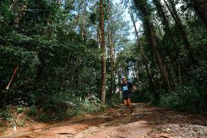 BIB: 
                            <button type="button" onclick="openModal(25003638)" class="btn btn-primary btn-sm float-right btn-popup" data-toggle="modal" data-target=".modal-high-quality">
                        <i class="fas fa-shopping-cart"></i> Add to Cart
                    </button>
                                            <button type="button" onclick="isThisMe(25003638, true)" class="btn btn-success btn-sm float-right btn-popup btn-isme hidden" data-toggle="tooltip" data-placement="bottom" title="นี่คือรูปของคุณใช่ไหม คลิกที่นี่เพื่อเอาเข้าอัลบั้ม">
                        <i class="fas fa-plus"></i> Add to album
                    </button>
                    <button type="button" onclick="isThisMe(25003638, false)" class="btn btn-warning btn-sm float-right btn-popup btn-isnotme hidden">
                        <i class="fas fa-ban"></i> Remove from album
                    </button>