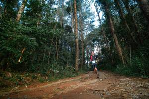 BIB: 
                            <button type="button" onclick="openModal(25004739)" class="btn btn-primary btn-sm float-right btn-popup" data-toggle="modal" data-target=".modal-high-quality">
                        <i class="fas fa-shopping-cart"></i> Add to Cart
                    </button>
                                            <button type="button" onclick="isThisMe(25004739, true)" class="btn btn-success btn-sm float-right btn-popup btn-isme hidden" data-toggle="tooltip" data-placement="bottom" title="นี่คือรูปของคุณใช่ไหม คลิกที่นี่เพื่อเอาเข้าอัลบั้ม">
                        <i class="fas fa-plus"></i> Add to album
                    </button>
                    <button type="button" onclick="isThisMe(25004739, false)" class="btn btn-warning btn-sm float-right btn-popup btn-isnotme hidden">
                        <i class="fas fa-ban"></i> Remove from album
                    </button>