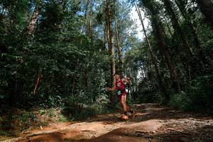 BIB: 
                            <button type="button" onclick="openModal(25003755)" class="btn btn-primary btn-sm float-right btn-popup" data-toggle="modal" data-target=".modal-high-quality">
                        <i class="fas fa-shopping-cart"></i> Add to Cart
                    </button>
                                            <button type="button" onclick="isThisMe(25003755, true)" class="btn btn-success btn-sm float-right btn-popup btn-isme hidden" data-toggle="tooltip" data-placement="bottom" title="นี่คือรูปของคุณใช่ไหม คลิกที่นี่เพื่อเอาเข้าอัลบั้ม">
                        <i class="fas fa-plus"></i> Add to album
                    </button>
                    <button type="button" onclick="isThisMe(25003755, false)" class="btn btn-warning btn-sm float-right btn-popup btn-isnotme hidden">
                        <i class="fas fa-ban"></i> Remove from album
                    </button>