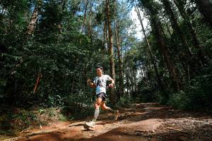 BIB: 
                            <button type="button" onclick="openModal(25003739)" class="btn btn-primary btn-sm float-right btn-popup" data-toggle="modal" data-target=".modal-high-quality">
                        <i class="fas fa-shopping-cart"></i> Add to Cart
                    </button>
                                            <button type="button" onclick="isThisMe(25003739, true)" class="btn btn-success btn-sm float-right btn-popup btn-isme hidden" data-toggle="tooltip" data-placement="bottom" title="นี่คือรูปของคุณใช่ไหม คลิกที่นี่เพื่อเอาเข้าอัลบั้ม">
                        <i class="fas fa-plus"></i> Add to album
                    </button>
                    <button type="button" onclick="isThisMe(25003739, false)" class="btn btn-warning btn-sm float-right btn-popup btn-isnotme hidden">
                        <i class="fas fa-ban"></i> Remove from album
                    </button>