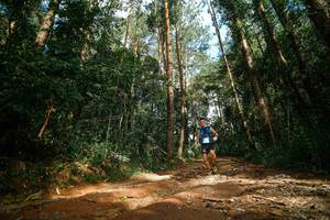 BIB: 
                            <button type="button" onclick="openModal(25004471)" class="btn btn-primary btn-sm float-right btn-popup" data-toggle="modal" data-target=".modal-high-quality">
                        <i class="fas fa-shopping-cart"></i> Add to Cart
                    </button>
                                            <button type="button" onclick="isThisMe(25004471, true)" class="btn btn-success btn-sm float-right btn-popup btn-isme hidden" data-toggle="tooltip" data-placement="bottom" title="นี่คือรูปของคุณใช่ไหม คลิกที่นี่เพื่อเอาเข้าอัลบั้ม">
                        <i class="fas fa-plus"></i> Add to album
                    </button>
                    <button type="button" onclick="isThisMe(25004471, false)" class="btn btn-warning btn-sm float-right btn-popup btn-isnotme hidden">
                        <i class="fas fa-ban"></i> Remove from album
                    </button>