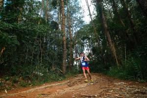 BIB: 
                            <button type="button" onclick="openModal(25004589)" class="btn btn-primary btn-sm float-right btn-popup" data-toggle="modal" data-target=".modal-high-quality">
                        <i class="fas fa-shopping-cart"></i> Add to Cart
                    </button>
                                            <button type="button" onclick="isThisMe(25004589, true)" class="btn btn-success btn-sm float-right btn-popup btn-isme hidden" data-toggle="tooltip" data-placement="bottom" title="นี่คือรูปของคุณใช่ไหม คลิกที่นี่เพื่อเอาเข้าอัลบั้ม">
                        <i class="fas fa-plus"></i> Add to album
                    </button>
                    <button type="button" onclick="isThisMe(25004589, false)" class="btn btn-warning btn-sm float-right btn-popup btn-isnotme hidden">
                        <i class="fas fa-ban"></i> Remove from album
                    </button>