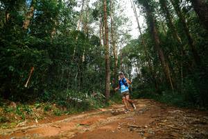 BIB: 
                            <button type="button" onclick="openModal(25004193)" class="btn btn-primary btn-sm float-right btn-popup" data-toggle="modal" data-target=".modal-high-quality">
                        <i class="fas fa-shopping-cart"></i> Add to Cart
                    </button>
                                            <button type="button" onclick="isThisMe(25004193, true)" class="btn btn-success btn-sm float-right btn-popup btn-isme hidden" data-toggle="tooltip" data-placement="bottom" title="นี่คือรูปของคุณใช่ไหม คลิกที่นี่เพื่อเอาเข้าอัลบั้ม">
                        <i class="fas fa-plus"></i> Add to album
                    </button>
                    <button type="button" onclick="isThisMe(25004193, false)" class="btn btn-warning btn-sm float-right btn-popup btn-isnotme hidden">
                        <i class="fas fa-ban"></i> Remove from album
                    </button>