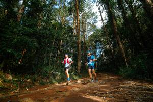 BIB: 
                            <button type="button" onclick="openModal(25004655)" class="btn btn-primary btn-sm float-right btn-popup" data-toggle="modal" data-target=".modal-high-quality">
                        <i class="fas fa-shopping-cart"></i> Add to Cart
                    </button>
                                            <button type="button" onclick="isThisMe(25004655, true)" class="btn btn-success btn-sm float-right btn-popup btn-isme hidden" data-toggle="tooltip" data-placement="bottom" title="นี่คือรูปของคุณใช่ไหม คลิกที่นี่เพื่อเอาเข้าอัลบั้ม">
                        <i class="fas fa-plus"></i> Add to album
                    </button>
                    <button type="button" onclick="isThisMe(25004655, false)" class="btn btn-warning btn-sm float-right btn-popup btn-isnotme hidden">
                        <i class="fas fa-ban"></i> Remove from album
                    </button>