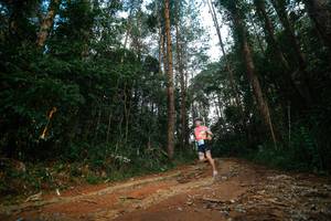 BIB: 
                            <button type="button" onclick="openModal(25004376)" class="btn btn-primary btn-sm float-right btn-popup" data-toggle="modal" data-target=".modal-high-quality">
                        <i class="fas fa-shopping-cart"></i> Add to Cart
                    </button>
                                            <button type="button" onclick="isThisMe(25004376, true)" class="btn btn-success btn-sm float-right btn-popup btn-isme hidden" data-toggle="tooltip" data-placement="bottom" title="นี่คือรูปของคุณใช่ไหม คลิกที่นี่เพื่อเอาเข้าอัลบั้ม">
                        <i class="fas fa-plus"></i> Add to album
                    </button>
                    <button type="button" onclick="isThisMe(25004376, false)" class="btn btn-warning btn-sm float-right btn-popup btn-isnotme hidden">
                        <i class="fas fa-ban"></i> Remove from album
                    </button>