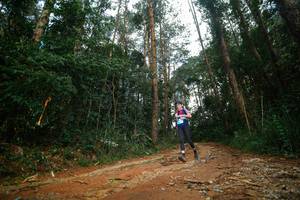 BIB: 
                            <button type="button" onclick="openModal(25004511)" class="btn btn-primary btn-sm float-right btn-popup" data-toggle="modal" data-target=".modal-high-quality">
                        <i class="fas fa-shopping-cart"></i> Add to Cart
                    </button>
                                            <button type="button" onclick="isThisMe(25004511, true)" class="btn btn-success btn-sm float-right btn-popup btn-isme hidden" data-toggle="tooltip" data-placement="bottom" title="นี่คือรูปของคุณใช่ไหม คลิกที่นี่เพื่อเอาเข้าอัลบั้ม">
                        <i class="fas fa-plus"></i> Add to album
                    </button>
                    <button type="button" onclick="isThisMe(25004511, false)" class="btn btn-warning btn-sm float-right btn-popup btn-isnotme hidden">
                        <i class="fas fa-ban"></i> Remove from album
                    </button>