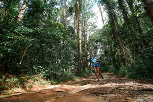 BIB: 
                            <button type="button" onclick="openModal(25003821)" class="btn btn-primary btn-sm float-right btn-popup" data-toggle="modal" data-target=".modal-high-quality">
                        <i class="fas fa-shopping-cart"></i> Add to Cart
                    </button>
                                            <button type="button" onclick="isThisMe(25003821, true)" class="btn btn-success btn-sm float-right btn-popup btn-isme hidden" data-toggle="tooltip" data-placement="bottom" title="นี่คือรูปของคุณใช่ไหม คลิกที่นี่เพื่อเอาเข้าอัลบั้ม">
                        <i class="fas fa-plus"></i> Add to album
                    </button>
                    <button type="button" onclick="isThisMe(25003821, false)" class="btn btn-warning btn-sm float-right btn-popup btn-isnotme hidden">
                        <i class="fas fa-ban"></i> Remove from album
                    </button>