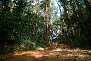 BIB: 
                            <button type="button" onclick="openModal(25004474)" class="btn btn-primary btn-sm float-right btn-popup" data-toggle="modal" data-target=".modal-high-quality">
                        <i class="fas fa-shopping-cart"></i> Add to Cart
                    </button>
                                            <button type="button" onclick="isThisMe(25004474, true)" class="btn btn-success btn-sm float-right btn-popup btn-isme hidden" data-toggle="tooltip" data-placement="bottom" title="นี่คือรูปของคุณใช่ไหม คลิกที่นี่เพื่อเอาเข้าอัลบั้ม">
                        <i class="fas fa-plus"></i> Add to album
                    </button>
                    <button type="button" onclick="isThisMe(25004474, false)" class="btn btn-warning btn-sm float-right btn-popup btn-isnotme hidden">
                        <i class="fas fa-ban"></i> Remove from album
                    </button>