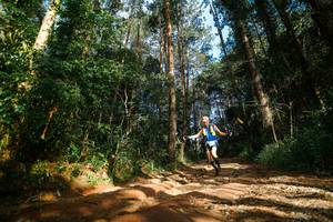 BIB: 
                            <button type="button" onclick="openModal(25004911)" class="btn btn-primary btn-sm float-right btn-popup" data-toggle="modal" data-target=".modal-high-quality">
                        <i class="fas fa-shopping-cart"></i> Add to Cart
                    </button>
                                            <button type="button" onclick="isThisMe(25004911, true)" class="btn btn-success btn-sm float-right btn-popup btn-isme hidden" data-toggle="tooltip" data-placement="bottom" title="นี่คือรูปของคุณใช่ไหม คลิกที่นี่เพื่อเอาเข้าอัลบั้ม">
                        <i class="fas fa-plus"></i> Add to album
                    </button>
                    <button type="button" onclick="isThisMe(25004911, false)" class="btn btn-warning btn-sm float-right btn-popup btn-isnotme hidden">
                        <i class="fas fa-ban"></i> Remove from album
                    </button>