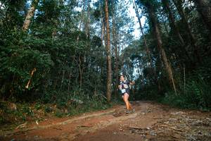 BIB: 
                            <button type="button" onclick="openModal(25004819)" class="btn btn-primary btn-sm float-right btn-popup" data-toggle="modal" data-target=".modal-high-quality">
                        <i class="fas fa-shopping-cart"></i> Add to Cart
                    </button>
                                            <button type="button" onclick="isThisMe(25004819, true)" class="btn btn-success btn-sm float-right btn-popup btn-isme hidden" data-toggle="tooltip" data-placement="bottom" title="นี่คือรูปของคุณใช่ไหม คลิกที่นี่เพื่อเอาเข้าอัลบั้ม">
                        <i class="fas fa-plus"></i> Add to album
                    </button>
                    <button type="button" onclick="isThisMe(25004819, false)" class="btn btn-warning btn-sm float-right btn-popup btn-isnotme hidden">
                        <i class="fas fa-ban"></i> Remove from album
                    </button>