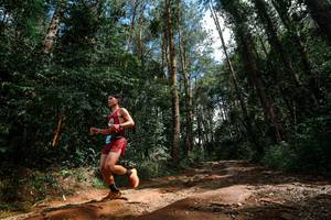 BIB: 
                            <button type="button" onclick="openModal(25003769)" class="btn btn-primary btn-sm float-right btn-popup" data-toggle="modal" data-target=".modal-high-quality">
                        <i class="fas fa-shopping-cart"></i> Add to Cart
                    </button>
                                            <button type="button" onclick="isThisMe(25003769, true)" class="btn btn-success btn-sm float-right btn-popup btn-isme hidden" data-toggle="tooltip" data-placement="bottom" title="นี่คือรูปของคุณใช่ไหม คลิกที่นี่เพื่อเอาเข้าอัลบั้ม">
                        <i class="fas fa-plus"></i> Add to album
                    </button>
                    <button type="button" onclick="isThisMe(25003769, false)" class="btn btn-warning btn-sm float-right btn-popup btn-isnotme hidden">
                        <i class="fas fa-ban"></i> Remove from album
                    </button>