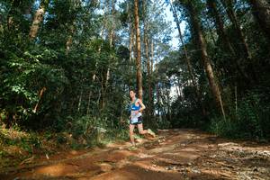 BIB: 
                            <button type="button" onclick="openModal(25004692)" class="btn btn-primary btn-sm float-right btn-popup" data-toggle="modal" data-target=".modal-high-quality">
                        <i class="fas fa-shopping-cart"></i> Add to Cart
                    </button>
                                            <button type="button" onclick="isThisMe(25004692, true)" class="btn btn-success btn-sm float-right btn-popup btn-isme hidden" data-toggle="tooltip" data-placement="bottom" title="นี่คือรูปของคุณใช่ไหม คลิกที่นี่เพื่อเอาเข้าอัลบั้ม">
                        <i class="fas fa-plus"></i> Add to album
                    </button>
                    <button type="button" onclick="isThisMe(25004692, false)" class="btn btn-warning btn-sm float-right btn-popup btn-isnotme hidden">
                        <i class="fas fa-ban"></i> Remove from album
                    </button>