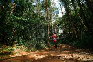 BIB: 
                            <button type="button" onclick="openModal(25004267)" class="btn btn-primary btn-sm float-right btn-popup" data-toggle="modal" data-target=".modal-high-quality">
                        <i class="fas fa-shopping-cart"></i> Add to Cart
                    </button>
                                            <button type="button" onclick="isThisMe(25004267, true)" class="btn btn-success btn-sm float-right btn-popup btn-isme hidden" data-toggle="tooltip" data-placement="bottom" title="นี่คือรูปของคุณใช่ไหม คลิกที่นี่เพื่อเอาเข้าอัลบั้ม">
                        <i class="fas fa-plus"></i> Add to album
                    </button>
                    <button type="button" onclick="isThisMe(25004267, false)" class="btn btn-warning btn-sm float-right btn-popup btn-isnotme hidden">
                        <i class="fas fa-ban"></i> Remove from album
                    </button>