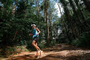 BIB: 
                            <button type="button" onclick="openModal(25003797)" class="btn btn-primary btn-sm float-right btn-popup" data-toggle="modal" data-target=".modal-high-quality">
                        <i class="fas fa-shopping-cart"></i> Add to Cart
                    </button>
                                            <button type="button" onclick="isThisMe(25003797, true)" class="btn btn-success btn-sm float-right btn-popup btn-isme hidden" data-toggle="tooltip" data-placement="bottom" title="นี่คือรูปของคุณใช่ไหม คลิกที่นี่เพื่อเอาเข้าอัลบั้ม">
                        <i class="fas fa-plus"></i> Add to album
                    </button>
                    <button type="button" onclick="isThisMe(25003797, false)" class="btn btn-warning btn-sm float-right btn-popup btn-isnotme hidden">
                        <i class="fas fa-ban"></i> Remove from album
                    </button>