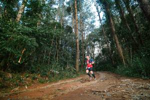 BIB: 
                            <button type="button" onclick="openModal(25004699)" class="btn btn-primary btn-sm float-right btn-popup" data-toggle="modal" data-target=".modal-high-quality">
                        <i class="fas fa-shopping-cart"></i> Add to Cart
                    </button>
                                            <button type="button" onclick="isThisMe(25004699, true)" class="btn btn-success btn-sm float-right btn-popup btn-isme hidden" data-toggle="tooltip" data-placement="bottom" title="นี่คือรูปของคุณใช่ไหม คลิกที่นี่เพื่อเอาเข้าอัลบั้ม">
                        <i class="fas fa-plus"></i> Add to album
                    </button>
                    <button type="button" onclick="isThisMe(25004699, false)" class="btn btn-warning btn-sm float-right btn-popup btn-isnotme hidden">
                        <i class="fas fa-ban"></i> Remove from album
                    </button>