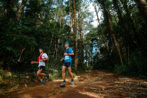 BIB: 
                            <button type="button" onclick="openModal(25004660)" class="btn btn-primary btn-sm float-right btn-popup" data-toggle="modal" data-target=".modal-high-quality">
                        <i class="fas fa-shopping-cart"></i> Add to Cart
                    </button>
                                            <button type="button" onclick="isThisMe(25004660, true)" class="btn btn-success btn-sm float-right btn-popup btn-isme hidden" data-toggle="tooltip" data-placement="bottom" title="นี่คือรูปของคุณใช่ไหม คลิกที่นี่เพื่อเอาเข้าอัลบั้ม">
                        <i class="fas fa-plus"></i> Add to album
                    </button>
                    <button type="button" onclick="isThisMe(25004660, false)" class="btn btn-warning btn-sm float-right btn-popup btn-isnotme hidden">
                        <i class="fas fa-ban"></i> Remove from album
                    </button>