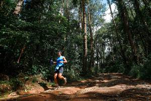 BIB: 
                            <button type="button" onclick="openModal(25003802)" class="btn btn-primary btn-sm float-right btn-popup" data-toggle="modal" data-target=".modal-high-quality">
                        <i class="fas fa-shopping-cart"></i> Add to Cart
                    </button>
                                            <button type="button" onclick="isThisMe(25003802, true)" class="btn btn-success btn-sm float-right btn-popup btn-isme hidden" data-toggle="tooltip" data-placement="bottom" title="นี่คือรูปของคุณใช่ไหม คลิกที่นี่เพื่อเอาเข้าอัลบั้ม">
                        <i class="fas fa-plus"></i> Add to album
                    </button>
                    <button type="button" onclick="isThisMe(25003802, false)" class="btn btn-warning btn-sm float-right btn-popup btn-isnotme hidden">
                        <i class="fas fa-ban"></i> Remove from album
                    </button>