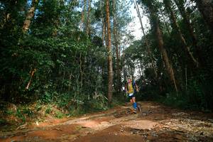 BIB: 
                            <button type="button" onclick="openModal(25004291)" class="btn btn-primary btn-sm float-right btn-popup" data-toggle="modal" data-target=".modal-high-quality">
                        <i class="fas fa-shopping-cart"></i> Add to Cart
                    </button>
                                            <button type="button" onclick="isThisMe(25004291, true)" class="btn btn-success btn-sm float-right btn-popup btn-isme hidden" data-toggle="tooltip" data-placement="bottom" title="นี่คือรูปของคุณใช่ไหม คลิกที่นี่เพื่อเอาเข้าอัลบั้ม">
                        <i class="fas fa-plus"></i> Add to album
                    </button>
                    <button type="button" onclick="isThisMe(25004291, false)" class="btn btn-warning btn-sm float-right btn-popup btn-isnotme hidden">
                        <i class="fas fa-ban"></i> Remove from album
                    </button>