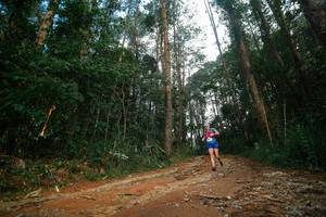 BIB: 
                            <button type="button" onclick="openModal(25004346)" class="btn btn-primary btn-sm float-right btn-popup" data-toggle="modal" data-target=".modal-high-quality">
                        <i class="fas fa-shopping-cart"></i> Add to Cart
                    </button>
                                            <button type="button" onclick="isThisMe(25004346, true)" class="btn btn-success btn-sm float-right btn-popup btn-isme hidden" data-toggle="tooltip" data-placement="bottom" title="นี่คือรูปของคุณใช่ไหม คลิกที่นี่เพื่อเอาเข้าอัลบั้ม">
                        <i class="fas fa-plus"></i> Add to album
                    </button>
                    <button type="button" onclick="isThisMe(25004346, false)" class="btn btn-warning btn-sm float-right btn-popup btn-isnotme hidden">
                        <i class="fas fa-ban"></i> Remove from album
                    </button>