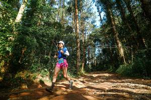 BIB: 
                            <button type="button" onclick="openModal(25004958)" class="btn btn-primary btn-sm float-right btn-popup" data-toggle="modal" data-target=".modal-high-quality">
                        <i class="fas fa-shopping-cart"></i> Add to Cart
                    </button>
                                            <button type="button" onclick="isThisMe(25004958, true)" class="btn btn-success btn-sm float-right btn-popup btn-isme hidden" data-toggle="tooltip" data-placement="bottom" title="นี่คือรูปของคุณใช่ไหม คลิกที่นี่เพื่อเอาเข้าอัลบั้ม">
                        <i class="fas fa-plus"></i> Add to album
                    </button>
                    <button type="button" onclick="isThisMe(25004958, false)" class="btn btn-warning btn-sm float-right btn-popup btn-isnotme hidden">
                        <i class="fas fa-ban"></i> Remove from album
                    </button>