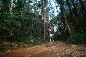 BIB: 
                            <button type="button" onclick="openModal(25004747)" class="btn btn-primary btn-sm float-right btn-popup" data-toggle="modal" data-target=".modal-high-quality">
                        <i class="fas fa-shopping-cart"></i> Add to Cart
                    </button>
                                            <button type="button" onclick="isThisMe(25004747, true)" class="btn btn-success btn-sm float-right btn-popup btn-isme hidden" data-toggle="tooltip" data-placement="bottom" title="นี่คือรูปของคุณใช่ไหม คลิกที่นี่เพื่อเอาเข้าอัลบั้ม">
                        <i class="fas fa-plus"></i> Add to album
                    </button>
                    <button type="button" onclick="isThisMe(25004747, false)" class="btn btn-warning btn-sm float-right btn-popup btn-isnotme hidden">
                        <i class="fas fa-ban"></i> Remove from album
                    </button>