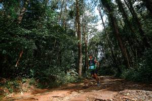 BIB: 
                            <button type="button" onclick="openModal(25003695)" class="btn btn-primary btn-sm float-right btn-popup" data-toggle="modal" data-target=".modal-high-quality">
                        <i class="fas fa-shopping-cart"></i> Add to Cart
                    </button>
                                            <button type="button" onclick="isThisMe(25003695, true)" class="btn btn-success btn-sm float-right btn-popup btn-isme hidden" data-toggle="tooltip" data-placement="bottom" title="นี่คือรูปของคุณใช่ไหม คลิกที่นี่เพื่อเอาเข้าอัลบั้ม">
                        <i class="fas fa-plus"></i> Add to album
                    </button>
                    <button type="button" onclick="isThisMe(25003695, false)" class="btn btn-warning btn-sm float-right btn-popup btn-isnotme hidden">
                        <i class="fas fa-ban"></i> Remove from album
                    </button>