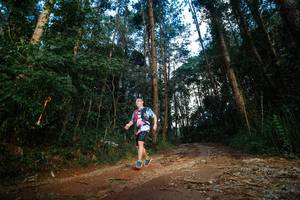 BIB: 
                            <button type="button" onclick="openModal(25005097)" class="btn btn-primary btn-sm float-right btn-popup" data-toggle="modal" data-target=".modal-high-quality">
                        <i class="fas fa-shopping-cart"></i> Add to Cart
                    </button>
                                            <button type="button" onclick="isThisMe(25005097, true)" class="btn btn-success btn-sm float-right btn-popup btn-isme hidden" data-toggle="tooltip" data-placement="bottom" title="นี่คือรูปของคุณใช่ไหม คลิกที่นี่เพื่อเอาเข้าอัลบั้ม">
                        <i class="fas fa-plus"></i> Add to album
                    </button>
                    <button type="button" onclick="isThisMe(25005097, false)" class="btn btn-warning btn-sm float-right btn-popup btn-isnotme hidden">
                        <i class="fas fa-ban"></i> Remove from album
                    </button>