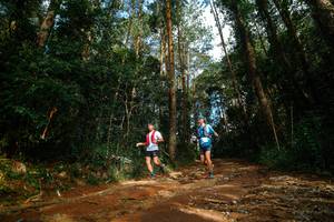 BIB: 
                            <button type="button" onclick="openModal(25004653)" class="btn btn-primary btn-sm float-right btn-popup" data-toggle="modal" data-target=".modal-high-quality">
                        <i class="fas fa-shopping-cart"></i> Add to Cart
                    </button>
                                            <button type="button" onclick="isThisMe(25004653, true)" class="btn btn-success btn-sm float-right btn-popup btn-isme hidden" data-toggle="tooltip" data-placement="bottom" title="นี่คือรูปของคุณใช่ไหม คลิกที่นี่เพื่อเอาเข้าอัลบั้ม">
                        <i class="fas fa-plus"></i> Add to album
                    </button>
                    <button type="button" onclick="isThisMe(25004653, false)" class="btn btn-warning btn-sm float-right btn-popup btn-isnotme hidden">
                        <i class="fas fa-ban"></i> Remove from album
                    </button>