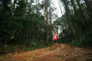 BIB: 
                            <button type="button" onclick="openModal(25004099)" class="btn btn-primary btn-sm float-right btn-popup" data-toggle="modal" data-target=".modal-high-quality">
                        <i class="fas fa-shopping-cart"></i> Add to Cart
                    </button>
                                            <button type="button" onclick="isThisMe(25004099, true)" class="btn btn-success btn-sm float-right btn-popup btn-isme hidden" data-toggle="tooltip" data-placement="bottom" title="นี่คือรูปของคุณใช่ไหม คลิกที่นี่เพื่อเอาเข้าอัลบั้ม">
                        <i class="fas fa-plus"></i> Add to album
                    </button>
                    <button type="button" onclick="isThisMe(25004099, false)" class="btn btn-warning btn-sm float-right btn-popup btn-isnotme hidden">
                        <i class="fas fa-ban"></i> Remove from album
                    </button>