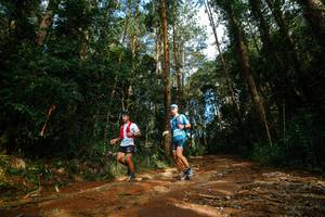 BIB: 
                            <button type="button" onclick="openModal(25004656)" class="btn btn-primary btn-sm float-right btn-popup" data-toggle="modal" data-target=".modal-high-quality">
                        <i class="fas fa-shopping-cart"></i> Add to Cart
                    </button>
                                            <button type="button" onclick="isThisMe(25004656, true)" class="btn btn-success btn-sm float-right btn-popup btn-isme hidden" data-toggle="tooltip" data-placement="bottom" title="นี่คือรูปของคุณใช่ไหม คลิกที่นี่เพื่อเอาเข้าอัลบั้ม">
                        <i class="fas fa-plus"></i> Add to album
                    </button>
                    <button type="button" onclick="isThisMe(25004656, false)" class="btn btn-warning btn-sm float-right btn-popup btn-isnotme hidden">
                        <i class="fas fa-ban"></i> Remove from album
                    </button>