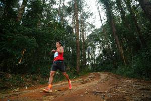 BIB: 
                            <button type="button" onclick="openModal(25004159)" class="btn btn-primary btn-sm float-right btn-popup" data-toggle="modal" data-target=".modal-high-quality">
                        <i class="fas fa-shopping-cart"></i> Add to Cart
                    </button>
                                            <button type="button" onclick="isThisMe(25004159, true)" class="btn btn-success btn-sm float-right btn-popup btn-isme hidden" data-toggle="tooltip" data-placement="bottom" title="นี่คือรูปของคุณใช่ไหม คลิกที่นี่เพื่อเอาเข้าอัลบั้ม">
                        <i class="fas fa-plus"></i> Add to album
                    </button>
                    <button type="button" onclick="isThisMe(25004159, false)" class="btn btn-warning btn-sm float-right btn-popup btn-isnotme hidden">
                        <i class="fas fa-ban"></i> Remove from album
                    </button>