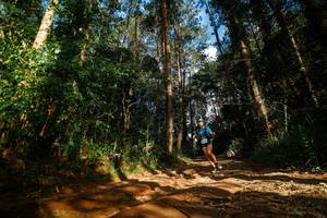 BIB: 
                            <button type="button" onclick="openModal(25005040)" class="btn btn-primary btn-sm float-right btn-popup" data-toggle="modal" data-target=".modal-high-quality">
                        <i class="fas fa-shopping-cart"></i> Add to Cart
                    </button>
                                            <button type="button" onclick="isThisMe(25005040, true)" class="btn btn-success btn-sm float-right btn-popup btn-isme hidden" data-toggle="tooltip" data-placement="bottom" title="นี่คือรูปของคุณใช่ไหม คลิกที่นี่เพื่อเอาเข้าอัลบั้ม">
                        <i class="fas fa-plus"></i> Add to album
                    </button>
                    <button type="button" onclick="isThisMe(25005040, false)" class="btn btn-warning btn-sm float-right btn-popup btn-isnotme hidden">
                        <i class="fas fa-ban"></i> Remove from album
                    </button>