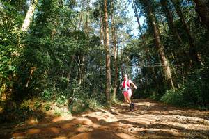 BIB: 
                            <button type="button" onclick="openModal(25004938)" class="btn btn-primary btn-sm float-right btn-popup" data-toggle="modal" data-target=".modal-high-quality">
                        <i class="fas fa-shopping-cart"></i> Add to Cart
                    </button>
                                            <button type="button" onclick="isThisMe(25004938, true)" class="btn btn-success btn-sm float-right btn-popup btn-isme hidden" data-toggle="tooltip" data-placement="bottom" title="นี่คือรูปของคุณใช่ไหม คลิกที่นี่เพื่อเอาเข้าอัลบั้ม">
                        <i class="fas fa-plus"></i> Add to album
                    </button>
                    <button type="button" onclick="isThisMe(25004938, false)" class="btn btn-warning btn-sm float-right btn-popup btn-isnotme hidden">
                        <i class="fas fa-ban"></i> Remove from album
                    </button>