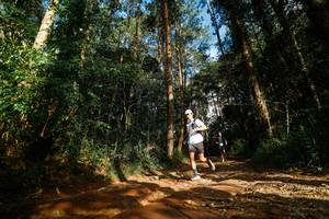 BIB: 
                            <button type="button" onclick="openModal(25005022)" class="btn btn-primary btn-sm float-right btn-popup" data-toggle="modal" data-target=".modal-high-quality">
                        <i class="fas fa-shopping-cart"></i> Add to Cart
                    </button>
                                            <button type="button" onclick="isThisMe(25005022, true)" class="btn btn-success btn-sm float-right btn-popup btn-isme hidden" data-toggle="tooltip" data-placement="bottom" title="นี่คือรูปของคุณใช่ไหม คลิกที่นี่เพื่อเอาเข้าอัลบั้ม">
                        <i class="fas fa-plus"></i> Add to album
                    </button>
                    <button type="button" onclick="isThisMe(25005022, false)" class="btn btn-warning btn-sm float-right btn-popup btn-isnotme hidden">
                        <i class="fas fa-ban"></i> Remove from album
                    </button>